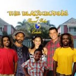 Cast of Royal Palm Estate