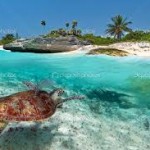 CaribbeanSea1