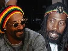 SnoopLion:BunnyWailer