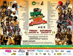 RebelSalute2015